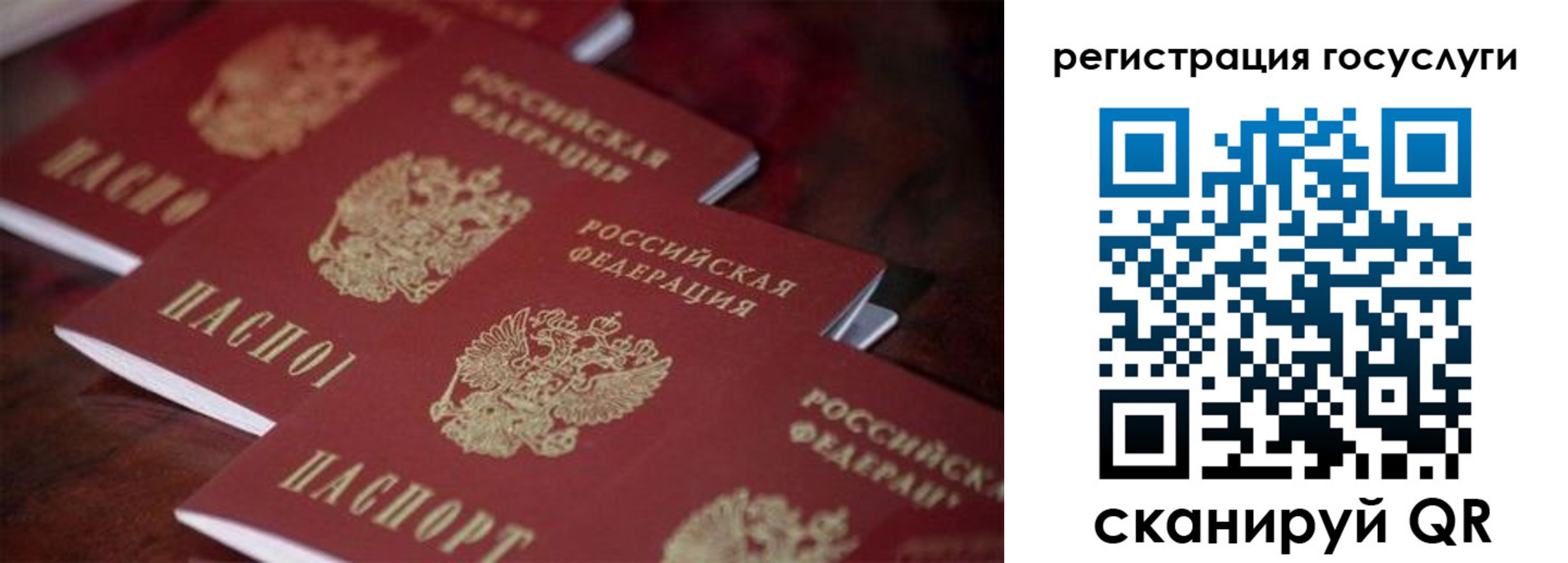 где прописаться в Мончегорске